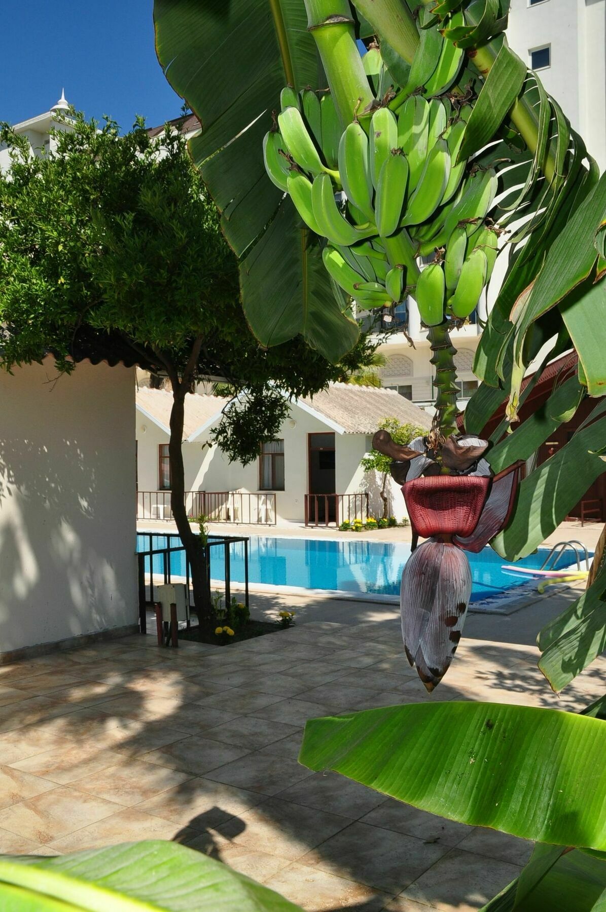 Dream Park Bungalow Titreyengol Exterior photo